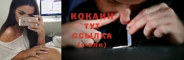 ешки Михайлов